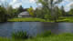 Lake view of our farm